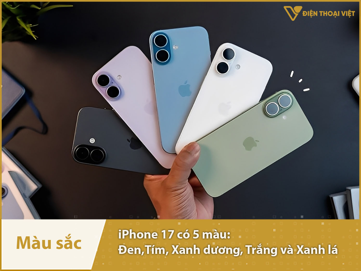 iPhone 17 cung cấp 5 màu sắc