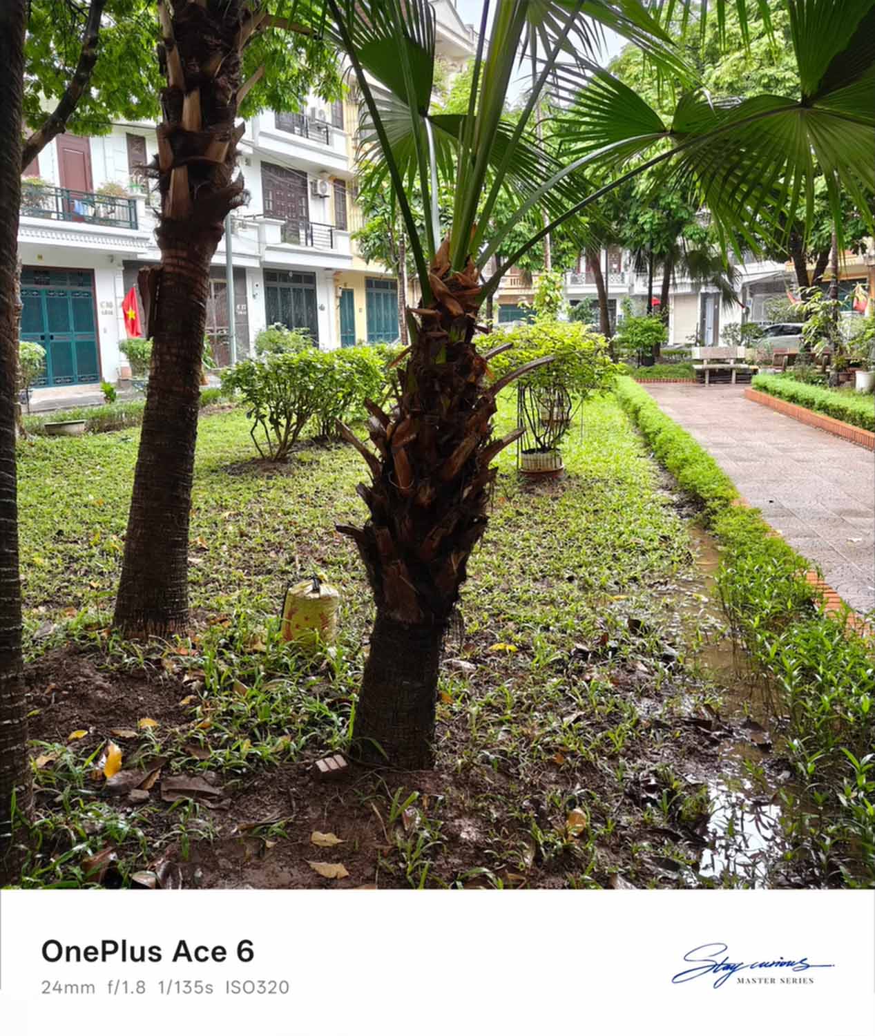 Ảnh chụp bằng camera chính