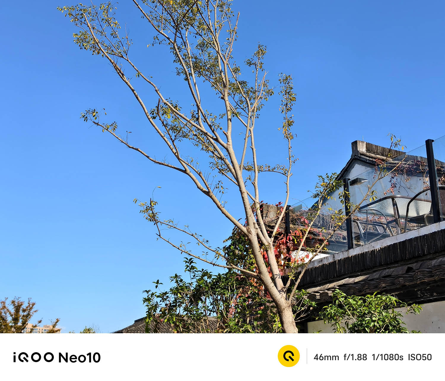 Ảnh chụp phong cảnh đủ sáng 2