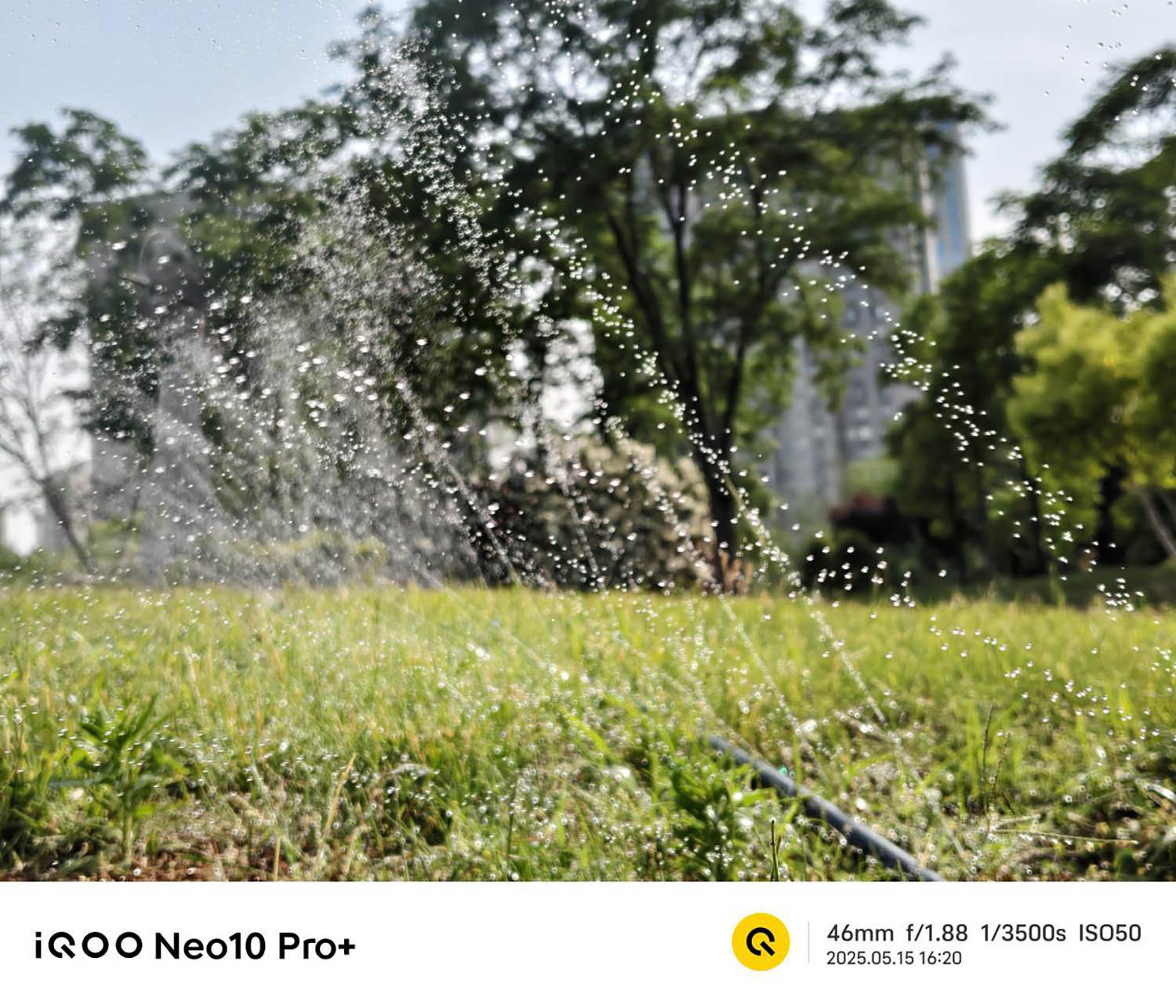 Ảnh chụp khoảnh khắc đủ sáng