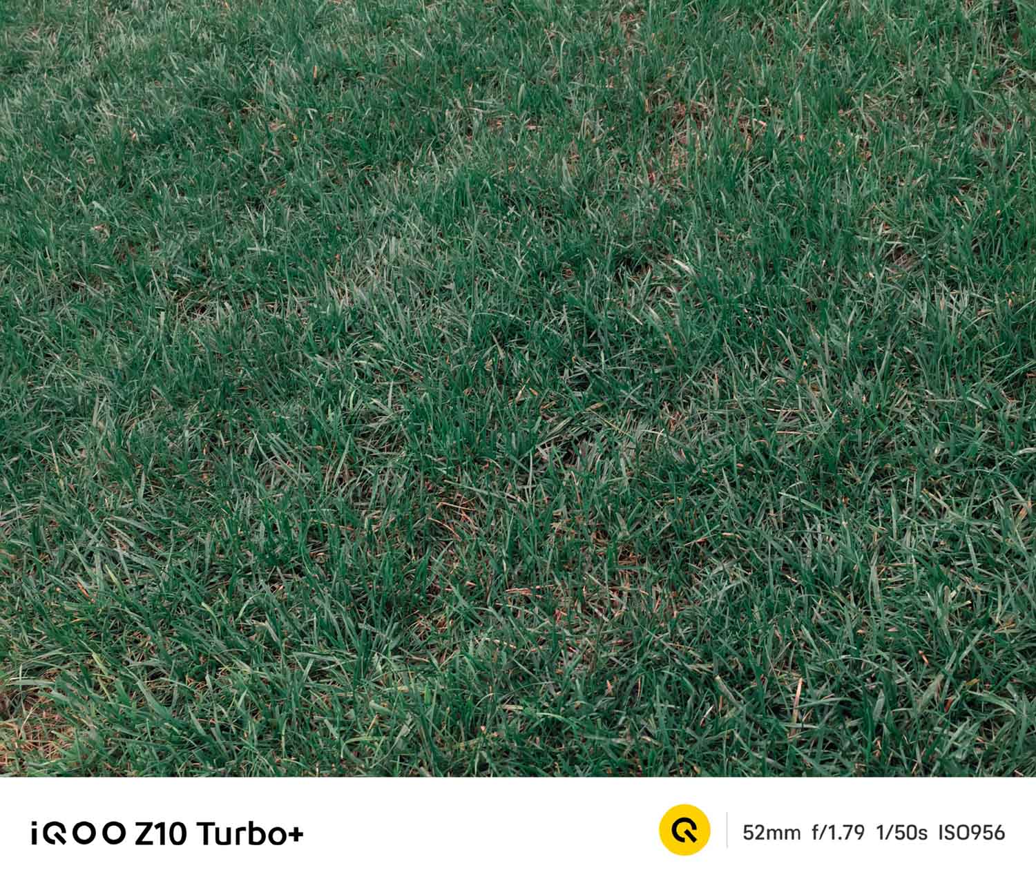 Ảnh chụp cận cảnh