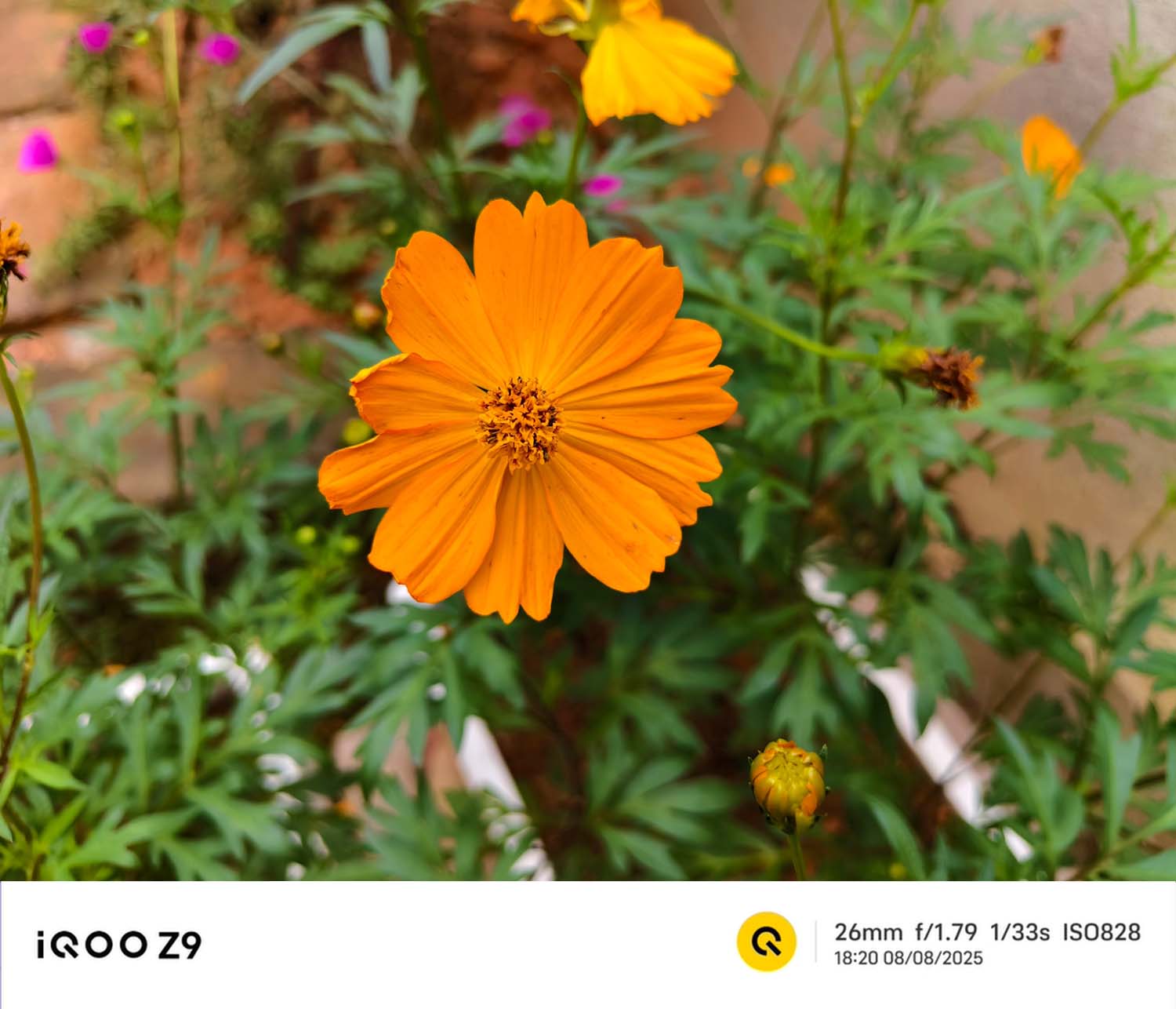 Ảnh chụp từ camera chính 1x