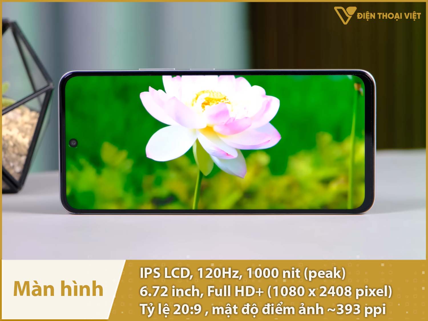 Màn hình IPS LCD 120Hz, Full HD+, độ sáng cao 1000nit