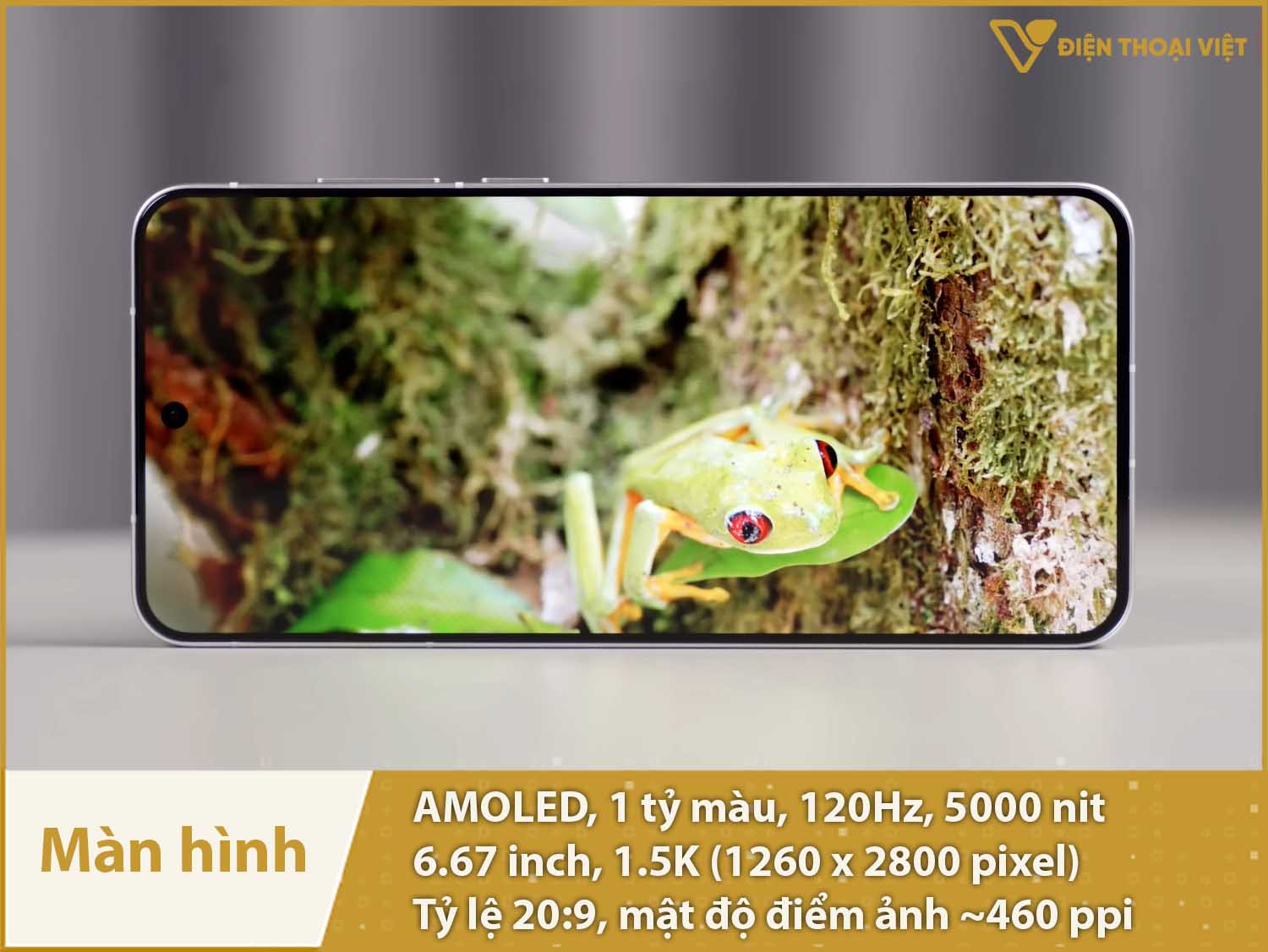 Màn hình 6,67 inch 1.5K, AMOLED 120Hz và độ sáng 5000nit