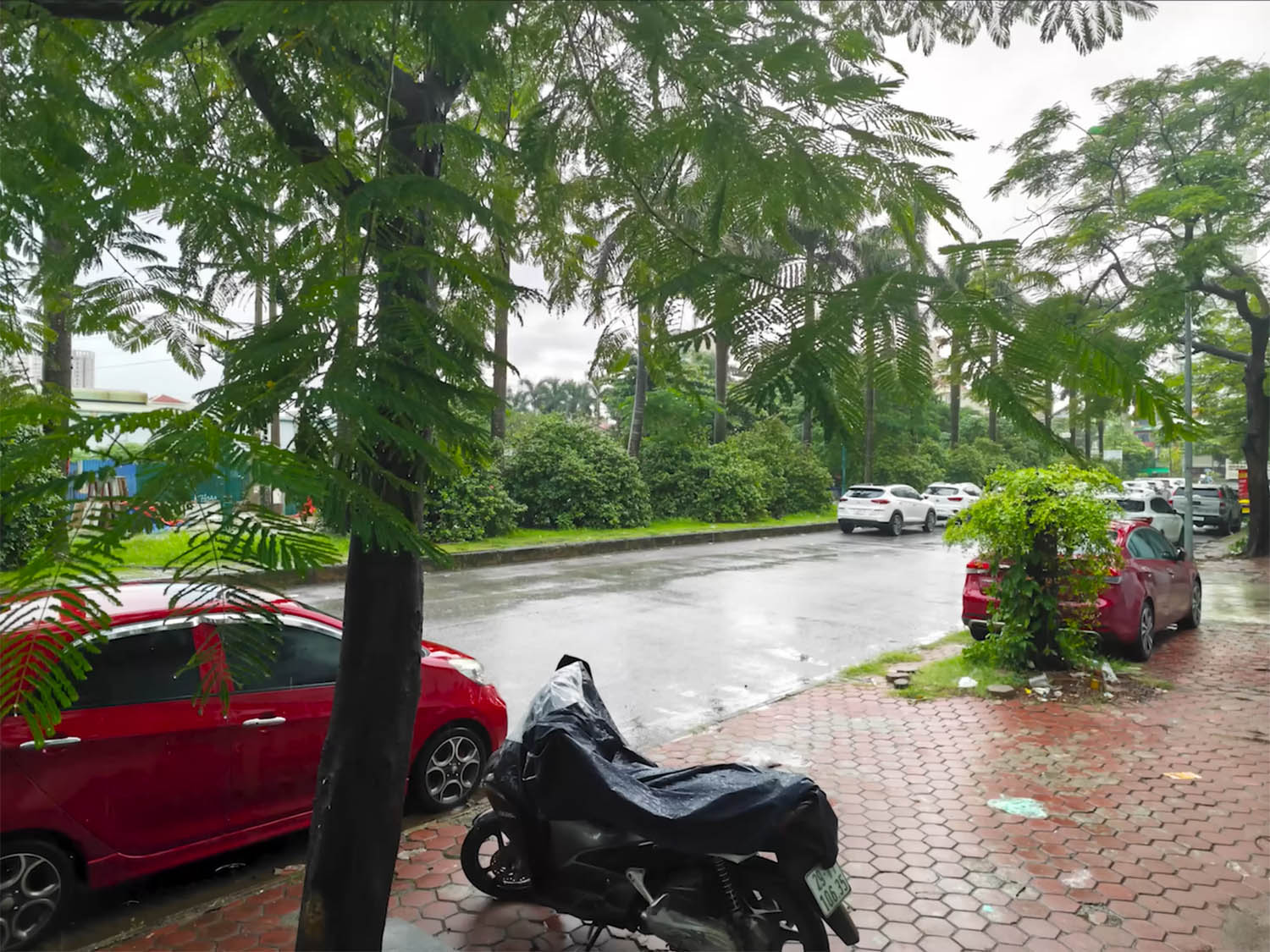 Ảnh đủ sáng ngoài trời